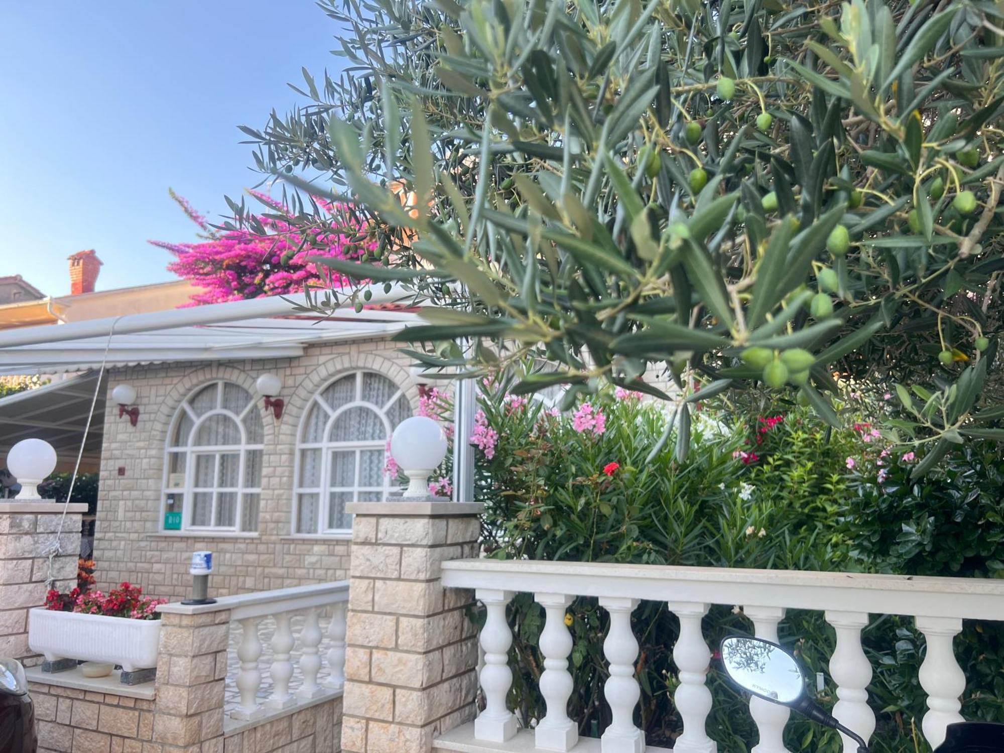 Bed & Breakfast Rab Palit ภายนอก รูปภาพ